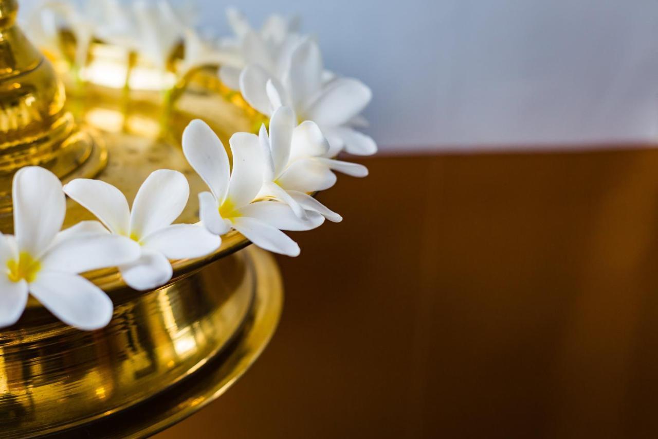 Mekosha Ayurveda Spa Suites Retreat & Resort Attingal Екстер'єр фото