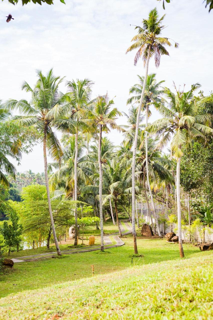 Mekosha Ayurveda Spa Suites Retreat & Resort Attingal Екстер'єр фото